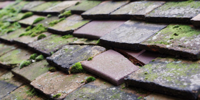 Selston roof repair costs